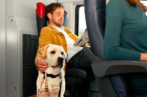 Italo aumenta i posti pet friendly a bordo