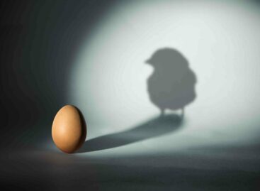 Paradosso Omicron:<br> la variante stimola la ripresa