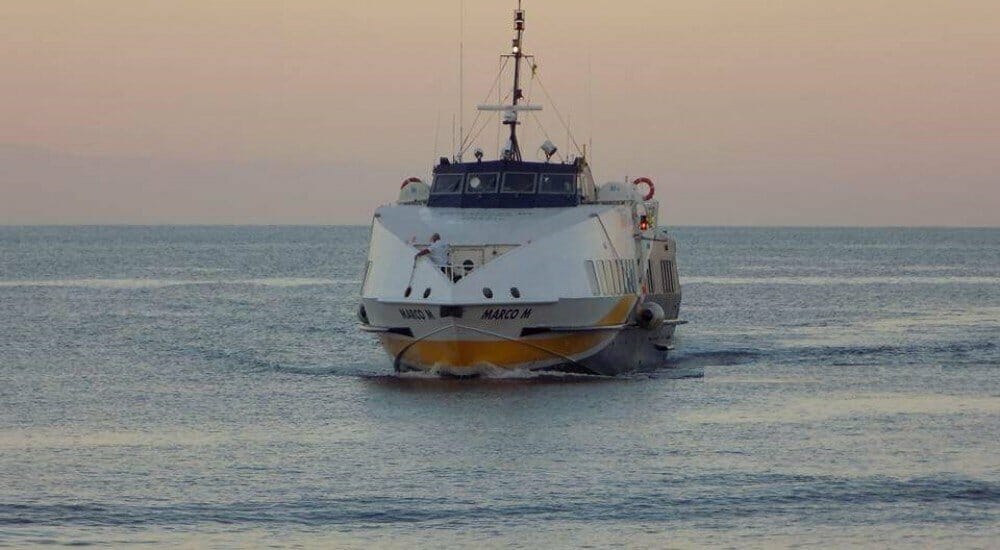 Liberty Lines Marco M_archivio