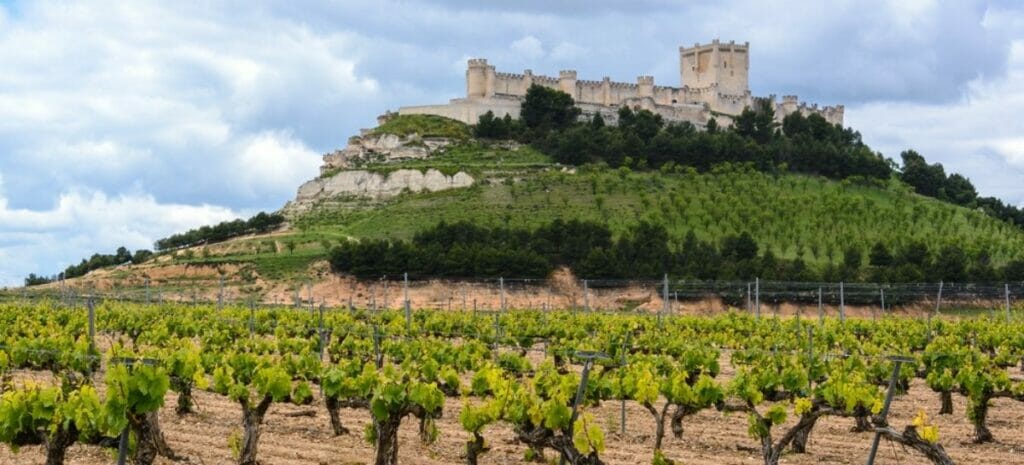 Ribera del Duerto Peñafiel Valladolid