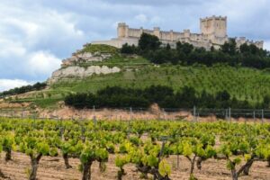 Ribera del Duerto Peñafiel Valladolid
