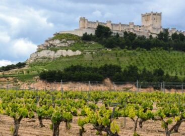 Turespaña Expert/2 Il meglio della Spagna in sette esperienze