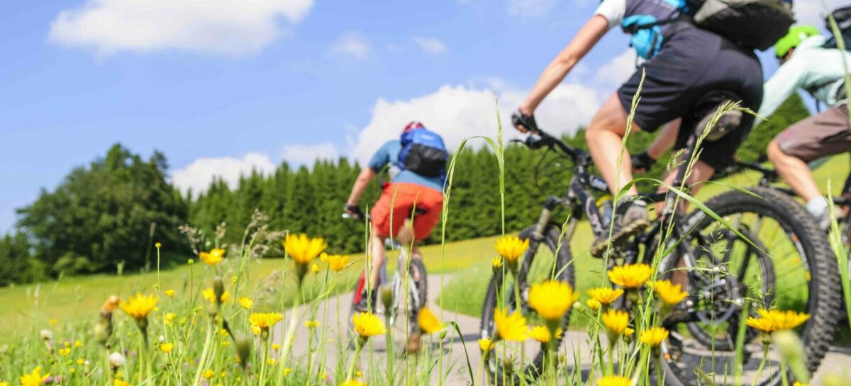 Garavaglia battezza la prima Fiera del Cicloturismo a Milano