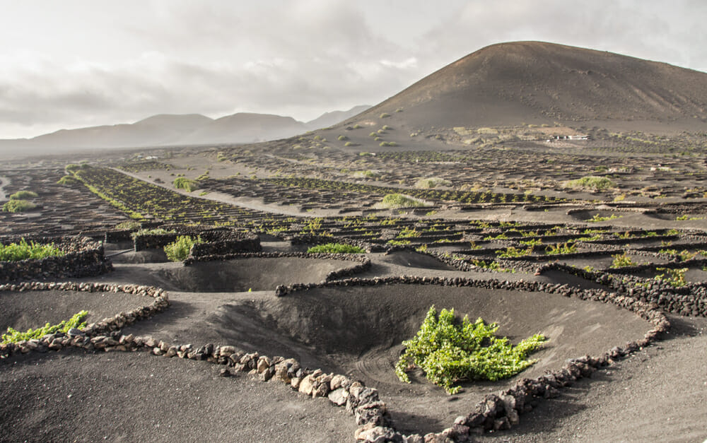 Vigneti La Geria Lanzarote