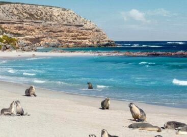 Più voli e viaggi culturali: così l’Australia si promuove al trade