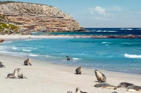 Più voli e viaggi culturali: così l’Australia si promuove al trade