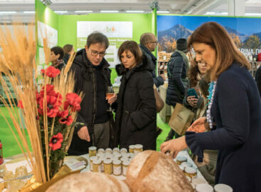 Tipicità, cappuccetto rosso e i vincisgrassi: la favola delle Marche