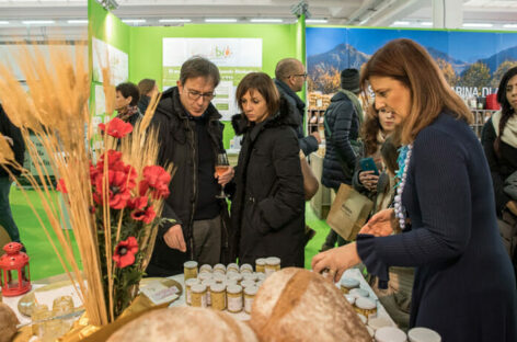Tipicità, cappuccetto rosso e i vincisgrassi: la favola delle Marche