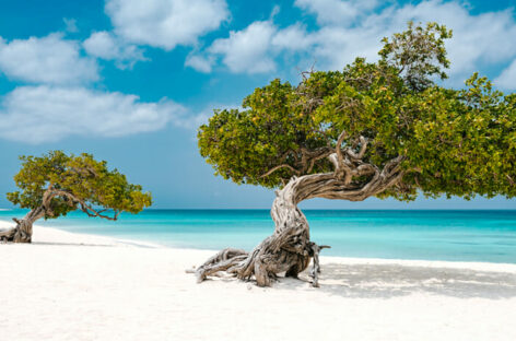 Diventa un esperto di Aruba con One Happy E-Learning