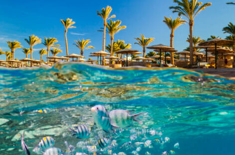 E ora anche edenviaggi rinnova il sito web