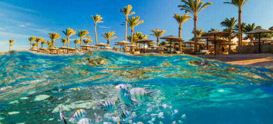 E ora anche edenviaggi rinnova il sito web