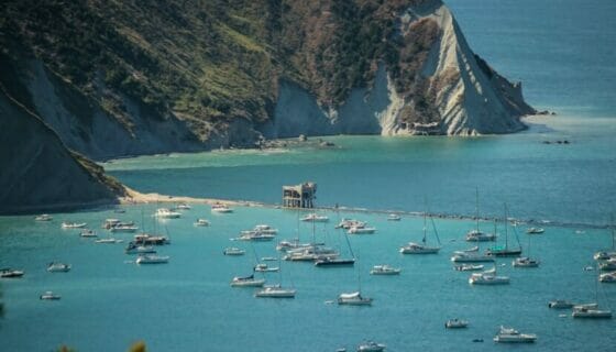 Al via Tipicità in Blu che torna in presenza