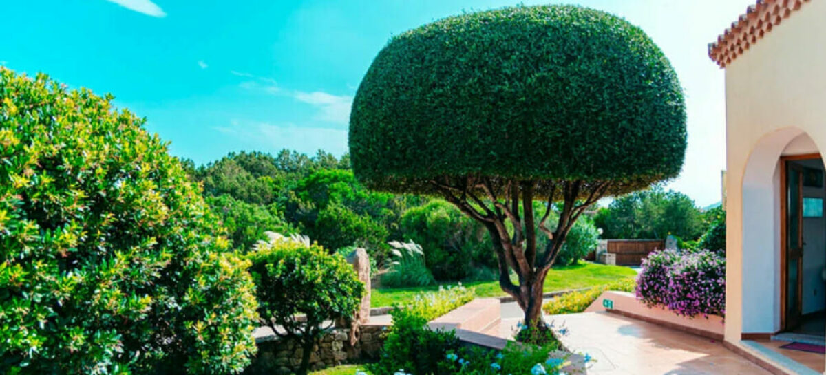 A Baja Sardinia apre l’adults only Godo Beach Hotel