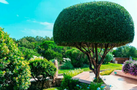 A Baja Sardinia apre l’adults only Godo Beach Hotel