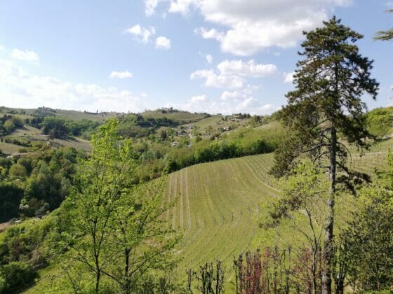 Colline Patrimonio Unesco