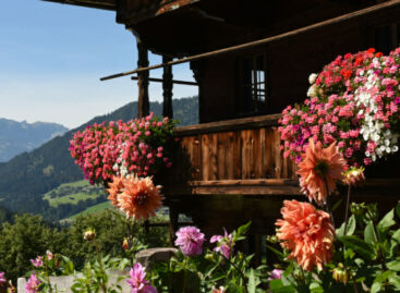 Natura, sport e cultura nell’Austria che riparte