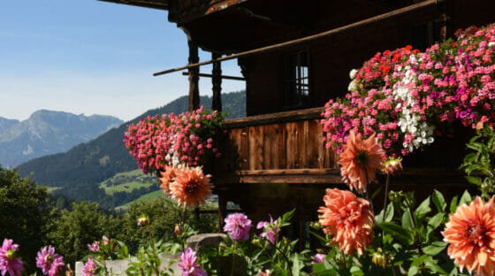 Natura, sport e cultura nell’Austria che riparte