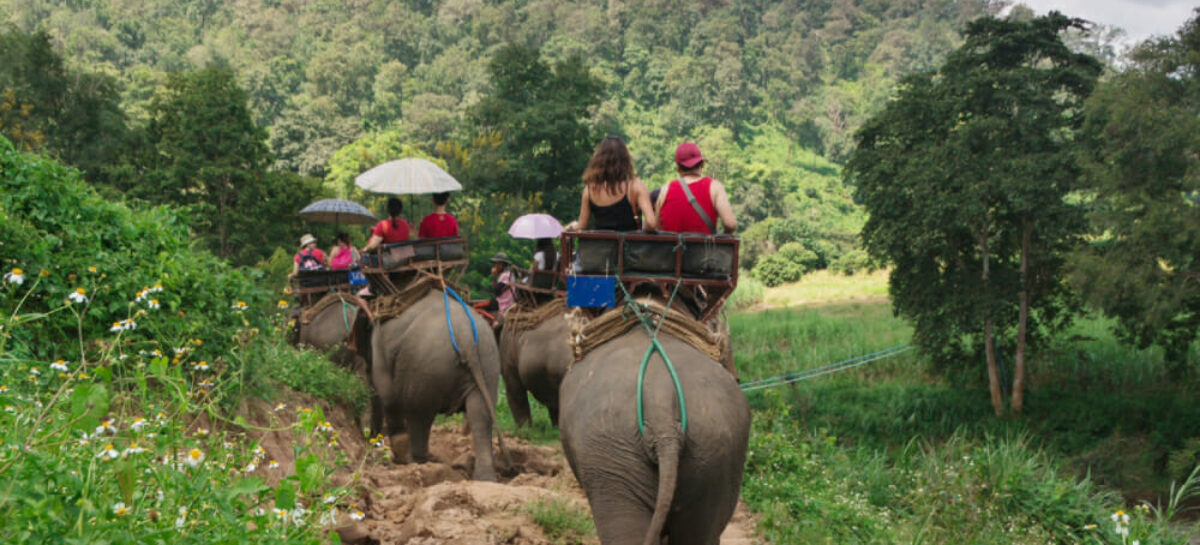 Luna di miele eco, mini o buddy purché si viaggi