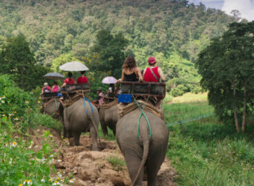 Luna di miele eco, mini o buddy purché si viaggi