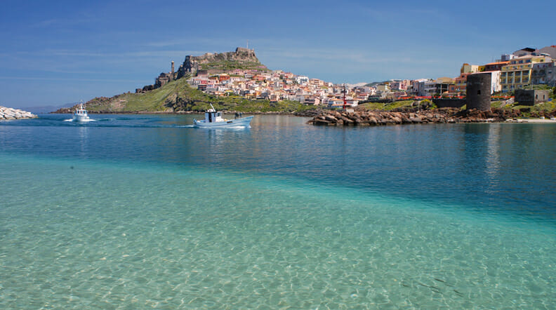 Bw Blumarea Castelsardo