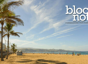 Partecipa al quiz per diventare Gran Canaria Expert