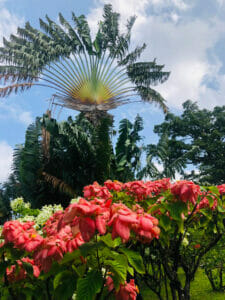 Guadalupa Vola con Gully