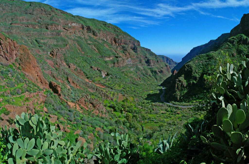 Ingenio, Barranco de Guayadeque
