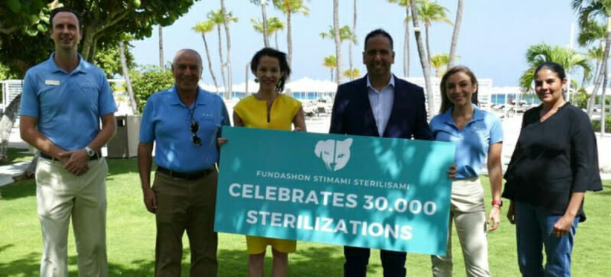 Aruba, programma pro animali domestici al Bucuti & Tara Resort