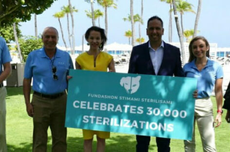 Aruba, programma pro animali domestici al Bucuti & Tara Resort