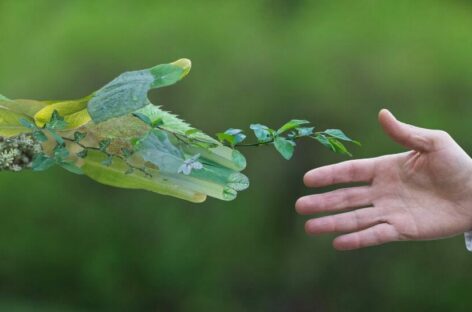 Unwto-Wttc, patto globale per la tutela della biodiversità