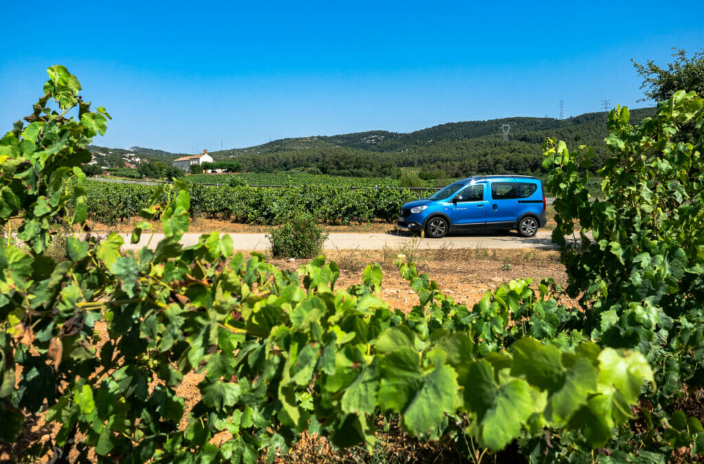 Vigneti vicino ad Avinyo Nou, credits Maria Rosa Vila