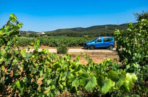 Vigneti vicino ad Avinyo Nou, credits Maria Rosa Vila