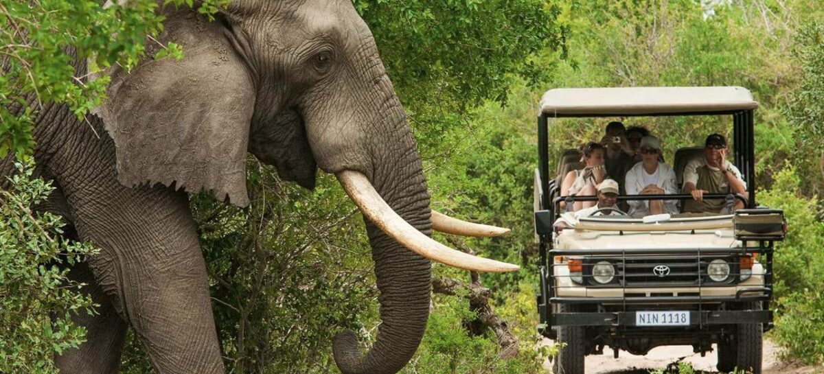 South African Tourism si promuove in Italia con Aigo