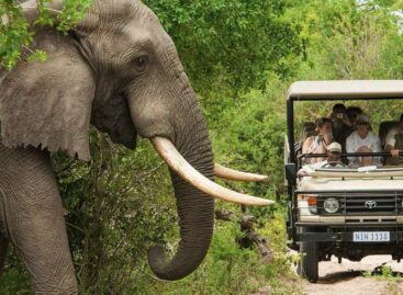 Africa, summit Wttc: «Qui il turismo crescerà del 6,5% l’anno»