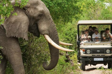 South African Tourism si promuove in Italia con Aigo