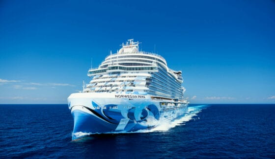 Ncl, utili in frenata: colpa degli incendi e della guerra