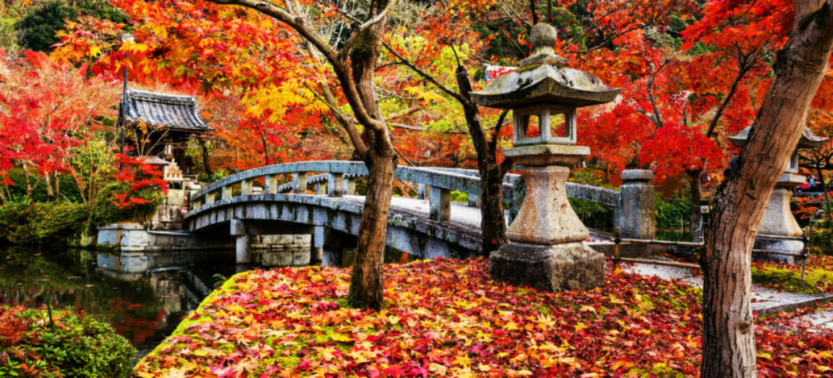 Il t.o. Japanspecialist spinge sulla consulenza di viaggio online