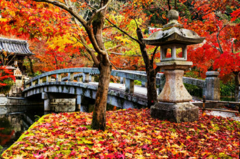 Il t.o. Japanspecialist spinge sulla consulenza di viaggio online