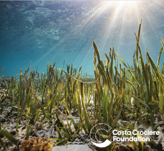 Costa Crociere Foundation