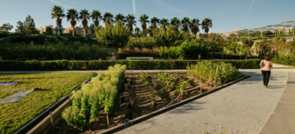 Valencia sarà capitale verde d’Europa 2024