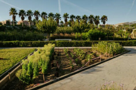 Valencia sarà capitale verde d’Europa 2024
