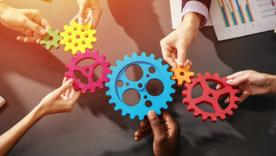 Shiruq by Mappamondo, le ragioni dell’operazione