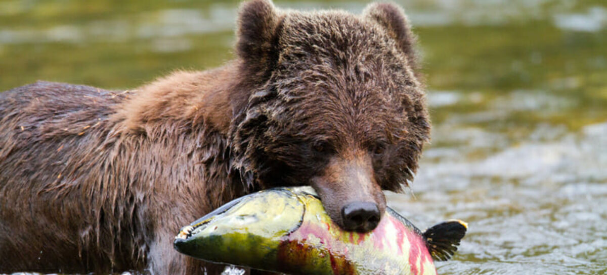 Quality Group, nuovi tour per Australia, Canada e Perù