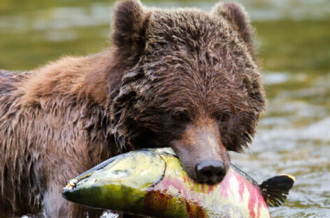 Quality Group, nuovi tour per Australia, Canada e Perù
