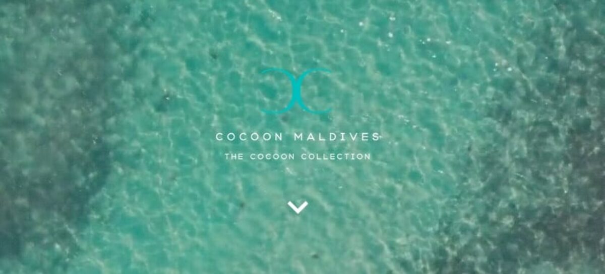 Sfoglia la brochure The Cocoon Collection di Azemar