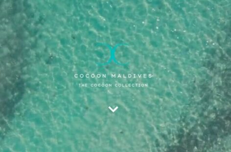 Sfoglia la brochure The Cocoon Collection di Azemar