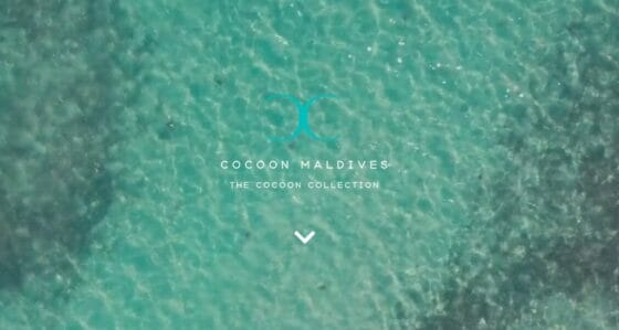 Sfoglia la brochure The Cocoon Collection di Azemar