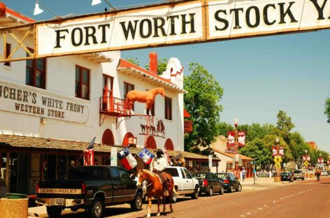 Brand Usa Mega Fam con 60 sales agent europei