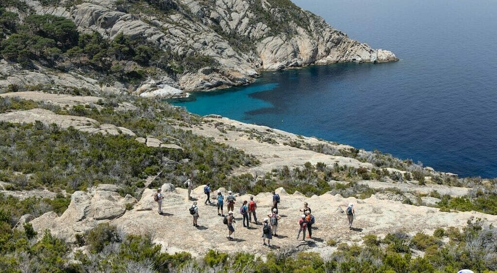 Isola di Montecristo