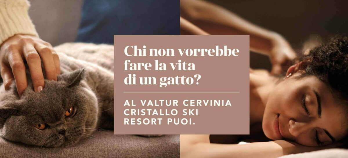Valtur e la campagna di comunicazione “Vita da gatto”